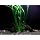 1 Vallisneria Italian Bunch - Beginner Tropical Live Aquarium Plant