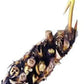 Water Lettuce (Pistia stratiotes) + Common Water Hyancinth (Eichhornia crassipes) Bundle + Water Lily Tuber Bundle- Floating Live Pond Plants