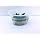 Staurogyne Repens Tissue Cultured - Foreground Aquarium Plant