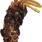 Live Water Lily Tubers | Pre-Grown Hardy Lily Rhizome in White, Pink, Red, Yellow, Orange, Purple (White)