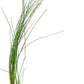 AQUARIUM PLANTS DISCOUNTS Potted Tall Hairgrass by AquaLeaf Aquatics - Easy Aquatic Live Plant