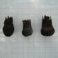 Aquatic Plant Bulbs - for Aquariums with temperatures Under 72F (Ulvaceus Apogoneton Bulb)