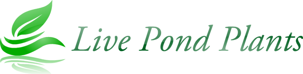 Live Pond Plants