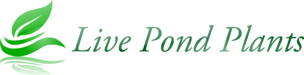Live Pond Plants