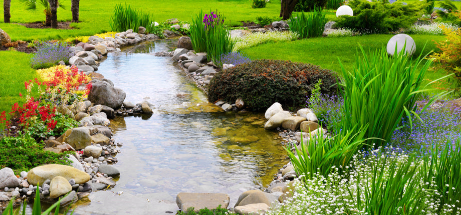 Water Garden